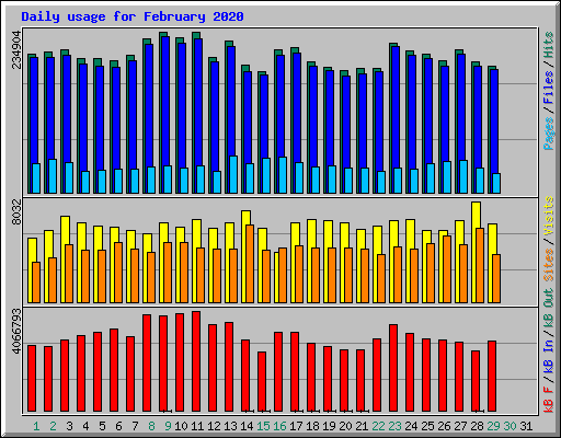 Daily usage for February 2020