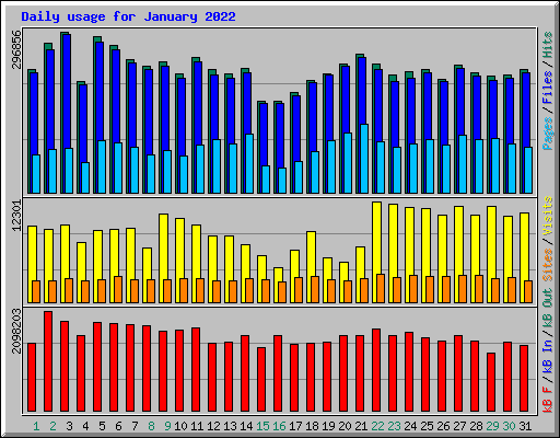 Daily usage for January 2022