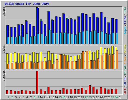 Daily usage for June 2024