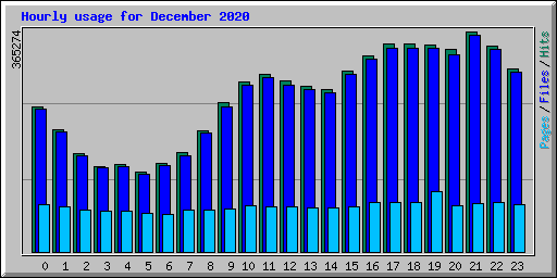 Hourly usage for December 2020