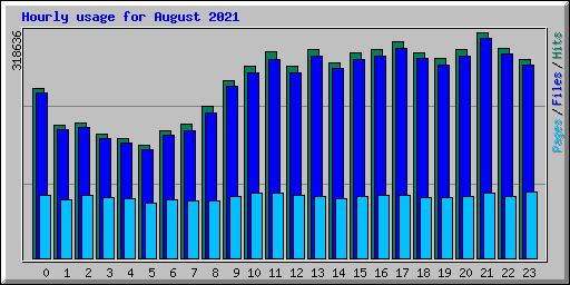 Hourly usage for August 2021