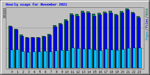 Hourly usage for November 2021