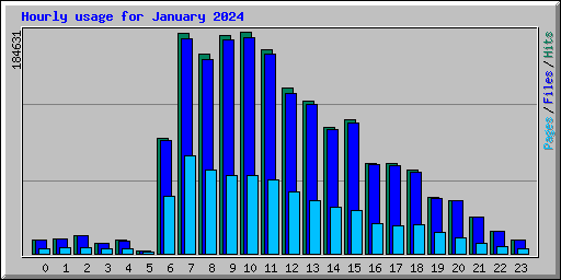 Hourly usage for January 2024