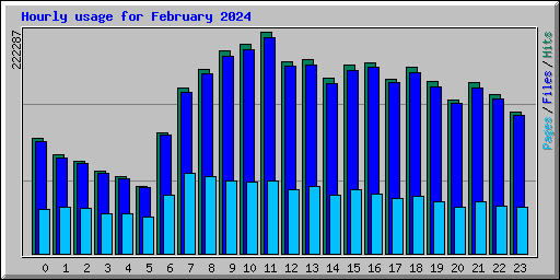 Hourly usage for February 2024