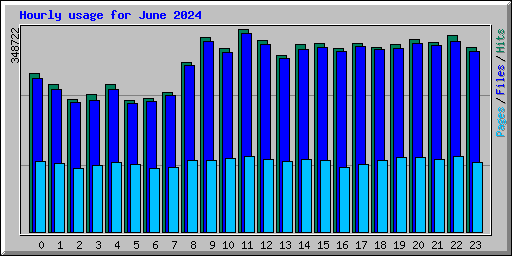 Hourly usage for June 2024