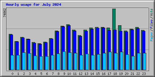 Hourly usage for July 2024
